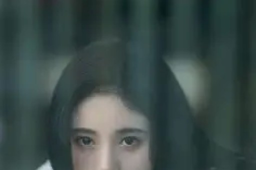 观察者网